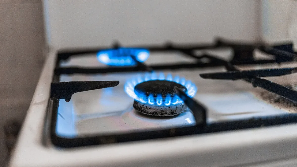 Blue Gas Flame