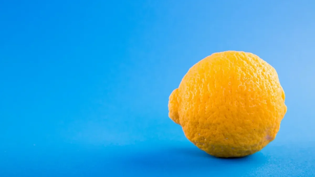 Citric Acid Powder