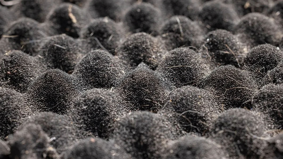 Foam Insulation