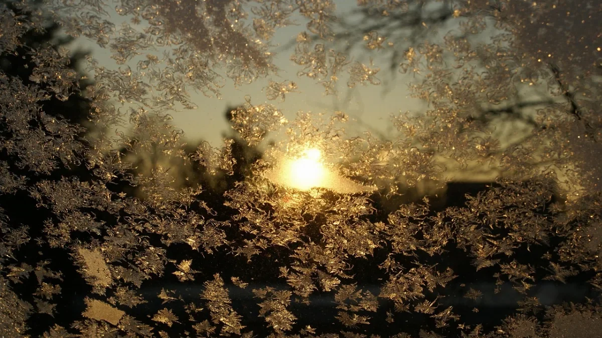 Frosty Window Winter