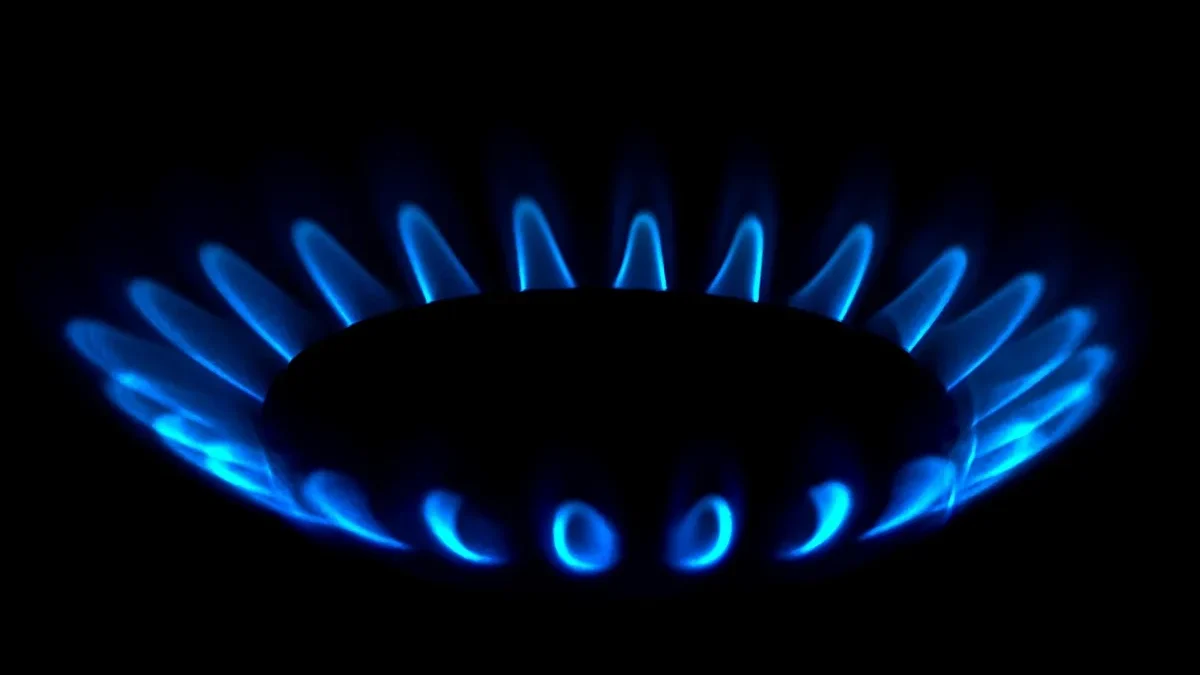 Gas Geyser Flame