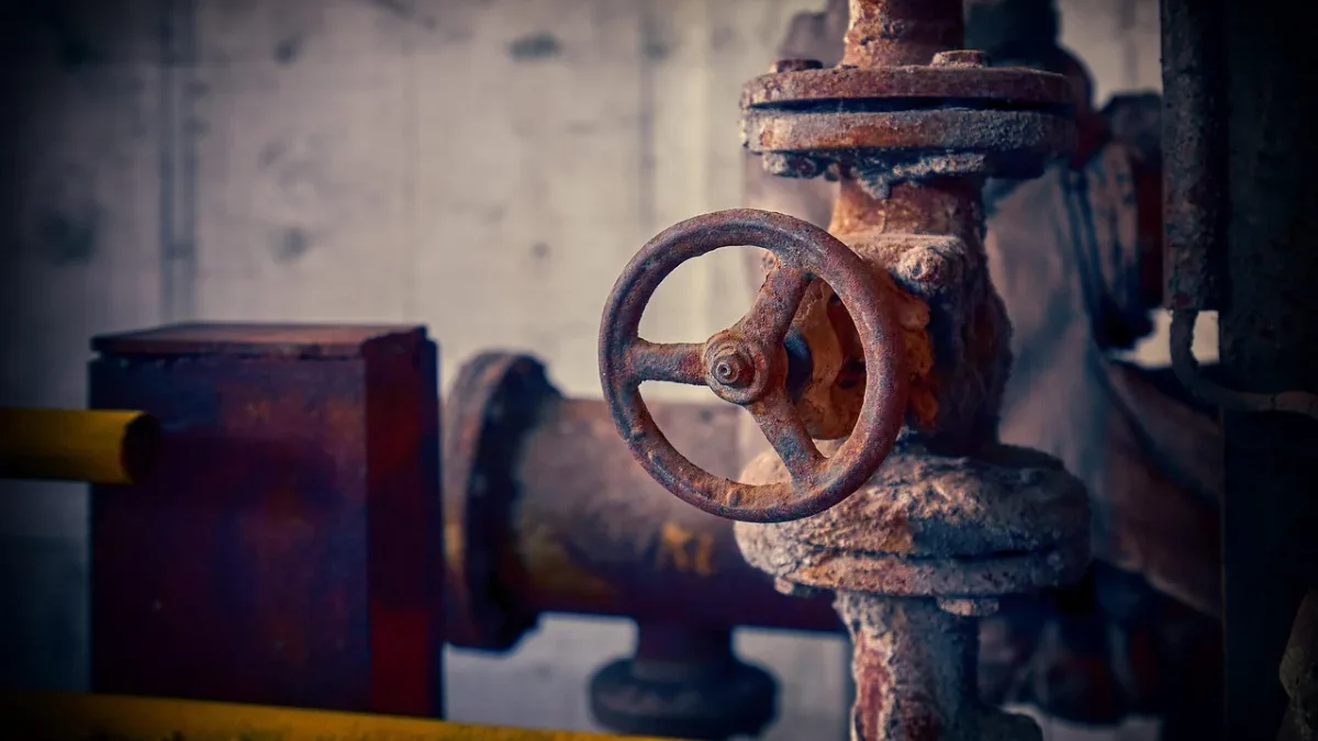Geyser Drain Valve