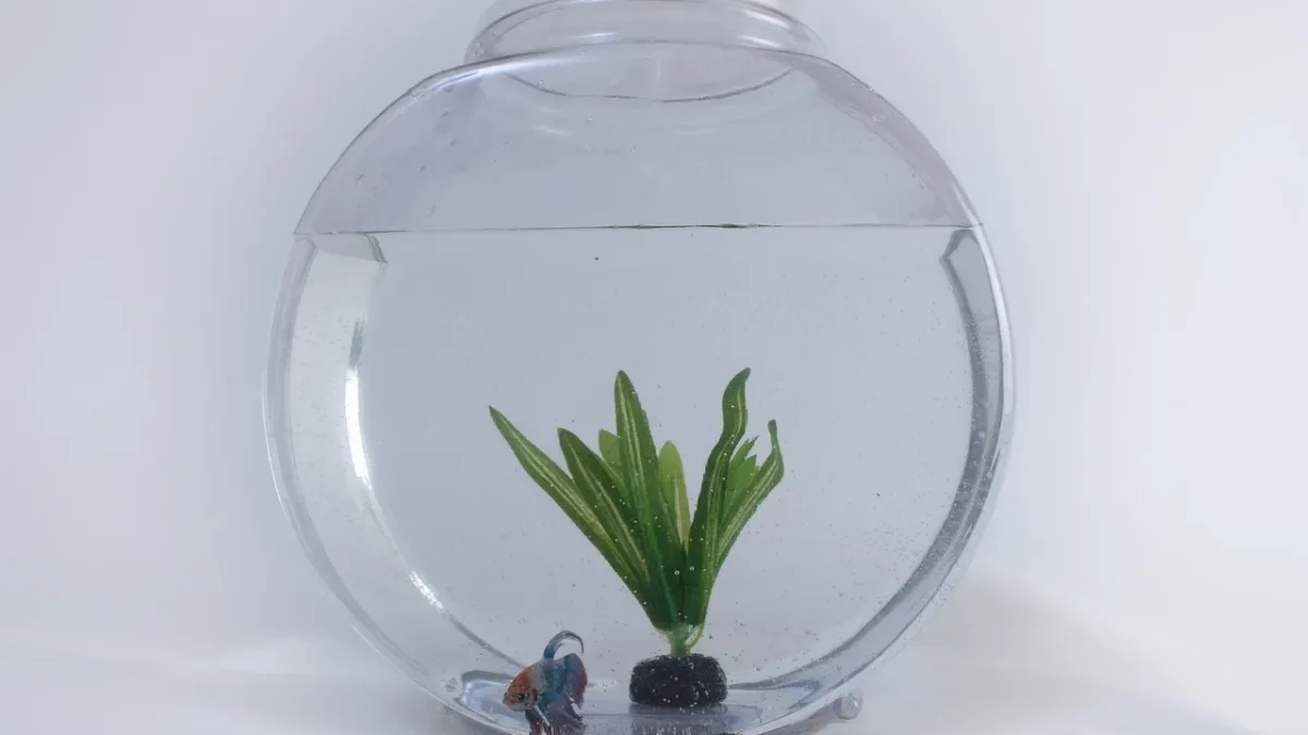 Glass Lined Tank