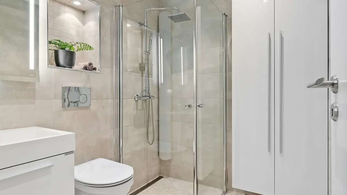 Rented Apartment Bathroom